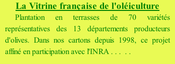 La Vitrine française de l'oléiculture Plantation en terrasses de 70 variétés représentatives des 13 départements producteurs d'olives. Dans nos cartons depuis 1998, ce projet affiné en participation avec l'INRA . . .  . .
