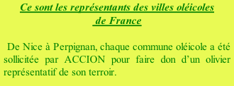 Ce sont les représentants des villes oléicoles  de France  De Nice à Perpignan, chaque commune oléicole a été sollicitée par ACCION pour faire don d’un olivier représentatif de son terroir.