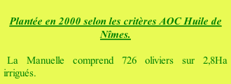 Plantée en 2000 selon les critères AOC Huile de Nîmes.  La Manuelle comprend 726 oliviers sur 2,8Ha irrigués.
