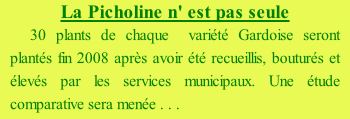 La Picholine n' est pas seule 30 plants de chaque  variété Gardoise seront plantés fin 2008 après avoir été recueillis, bouturés et élevés par les services municipaux. Une étude comparative sera menée . . .